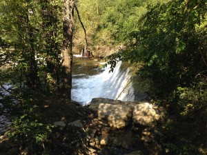 Rio Arga along the Camino