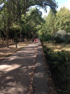 path in park along the river