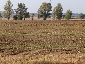 fields plowed