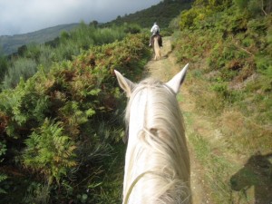 on the trail