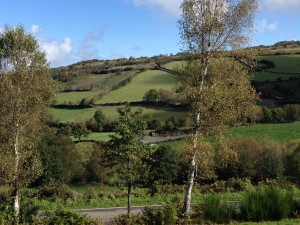 Bucolic hillsides