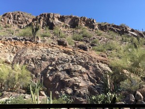 View from my room, onto Camelback Mountain