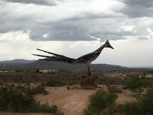 Road runner